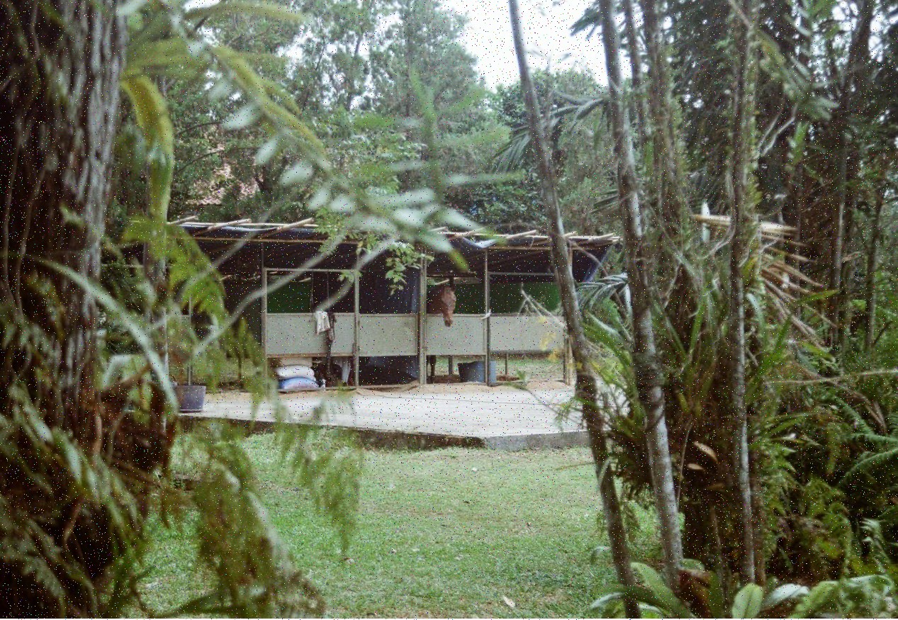 Galería 3