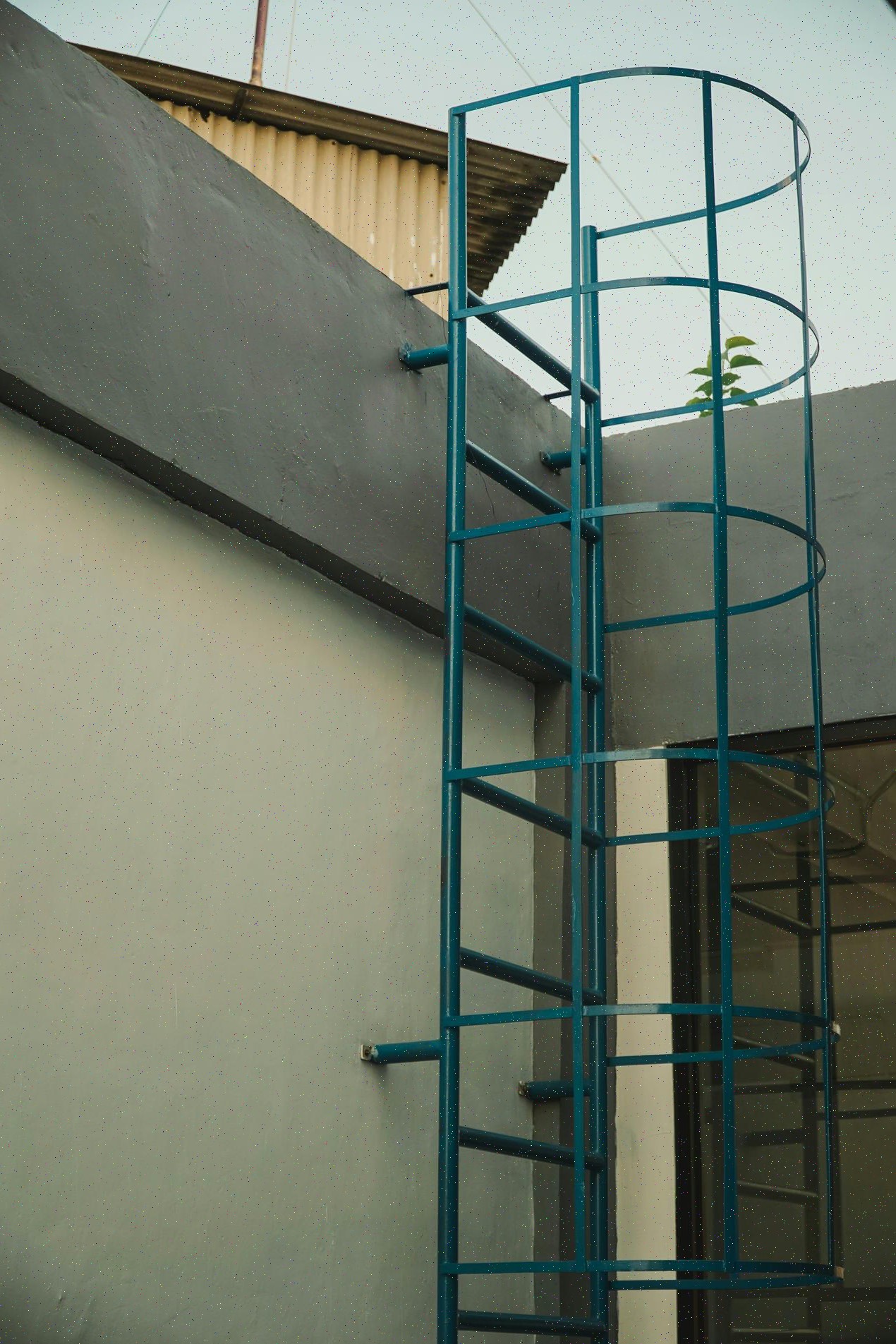 Galería 4